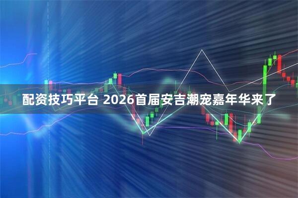 配资技巧平台 2026首届安吉潮宠嘉年华来了